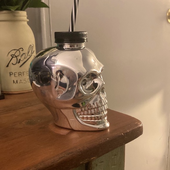 Brand NWT Metallic Silver Skull Shaped Plastic Canteen Tumbler -Lid & Straw - Picture 3 of 6